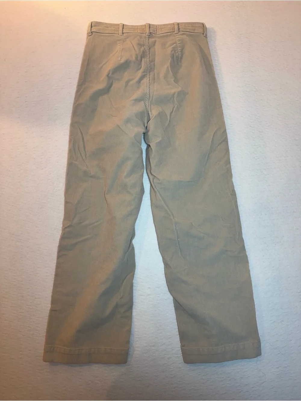 Everlane The Corduroy Wide-Leg Pant Ankle Length Cream Beige Size 6 - Picture 3 of 7
